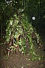 IMG_1572