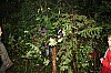 IMG_1576