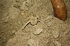 IMG_1634