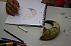 IMG_1641