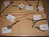 DSCN0293