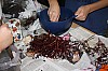 IMG_1484