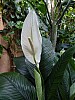 Bild 052